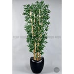 Biçiçek Zen Bambu Ağacı 220-240 Cm Fiber Saksıda Siyahfiber2