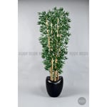 Biçiçek Zen Bambu Ağacı 220-240 Cm Fiber Saksıda Siyahfiber2