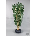 Biçiçek Zen Bambu Ağacı 220-240 Cm Fiber Saksıda Grifiber1