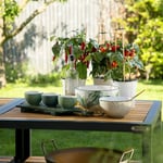 Big Green Egg Eklenebilir Frame Stant