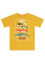 Big Whales Erkek Çocuk T-shirt Kapri Takım