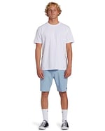 Billabong Crossfire MidKlasik şortErkek