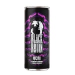 Black Bruin Açai Enerji 250 ml