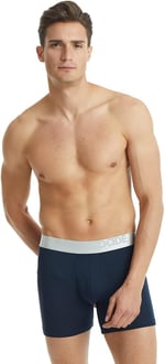 Blackspade Erkek Modal Boxer Silver 9303