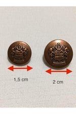Blazer Ceket Düğmesi Takımı Metalize (Plastik), d390