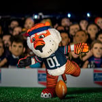 Bleacher Creatures Auburn Tigers Aubie 25,4 cm Maskot Peluş Figürler - Oyun veya Sergi için Bir Maskot