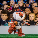 Bleacher Creatures Auburn Tigers Aubie 25,4 cm Maskot Peluş Figürler - Oyun veya Sergi için Bir Maskot