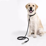 Bloominbag Polypropylene Rope Leash - 8mm/150cm