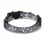 Bloominbag Swissplus Urban Paws Zebra Noir Recycled Kedi Tasması- 10 Mm