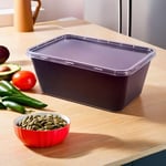 Bluesky Çok Yönlü Dikdörtgen Kaplar - (10'lu Paket) - Yemek Hazırlama ve Saklama için Mükemmel, 34 oz, Siyah