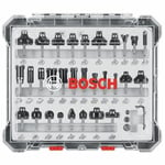 BOSCH (Evrensel Uyumlu Aksesuar) RBS030MBS 30 parça Karbür Uçlu Ahşap Freze Ucu Seti