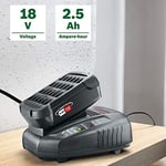 Bosch Home and Garden 18 Volt Akü ve AL 1830 CV Şarj Cihazı Başlangıç Seti, 2.5 Ah Akü, 300l/saat Debi, 0.365 kg