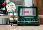 Bosch Professional Accessories 15 parça Freze Seti (Ahşap, frezeler için 8 mm şaftlı aksesuar)