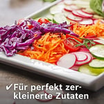 Bosch VeggieLove MUZ5VL1 aksesuar seti, 5 dilim içeren sürekli şnitzler (kesme tornalama diski, törpüleme diski, orta ince rende diski, Asya sebzeleri ve rösti için), çok renkli