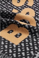 BOSS Erkek Tanay Scarf