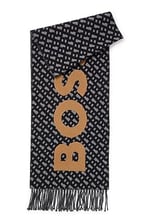 BOSS Erkek Tanay Scarf