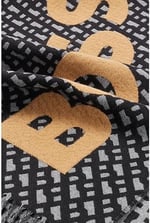 BOSS Erkek Tanay Scarf