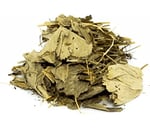 Botaniksan Aslan Pençesi (Testere Dişli) 40gr