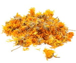 Botaniksan Aynısefa Çiçeği (Portakal Nergisi) 60gr
