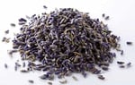 Botaniksan Karabaş Otu 40gr