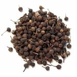 Botaniksan Kebabiye 30gr