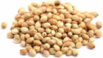 Botaniksan Kişniş 80gr
