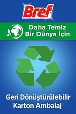 Bref WC Power Aktiv Çam Kokulu 2'li Klozet Temizleme Topları, 1 x 2 Adet, Çam 2, İkili