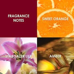 BRITNEY SPEARS HIDDEN FANTASYPARFÜM EDP 100 ML.