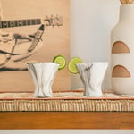 BrüMate MargTini 10 oz Martini Margarita Bardak - Vakum Yalıtımlı Paslanmaz Çelikten Yapılmıştır (Mat Siyah)
