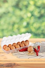 BUFFER® 12'li Şeffaf Kapaklı Kilitli Yumurta Saklama Kabı Kutusu Aparatı