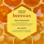Burt's Bees 2li Lip Balm Set (Beeswax + Vanilya)