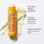 Burt's Bees 2li Lip Balm Set (Beeswax + Vanilya)