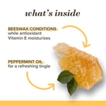 Burt's Bees Beeswax Dudak Bakım Kremi - Nane Ferahlığı - Seçenekler: 4.25 g (Confezione da 1)...