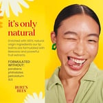 Burts Bees Beeswax Lip Balm 2li