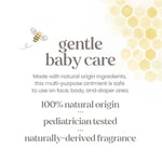 Burt's Bees -