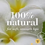Burt's Bees Dudak Bakım Kremi