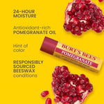 Burt's Bees Nar Aromalı Dudak Bakım Kremi