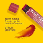 Burt's Bees Renkli Dudak Bakım Kremi