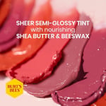 Burt's Bees Renkli Dudak Bakım Kremi (Rose)