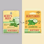 Burt's Bees Salatalık Naneli%100 Doğal Nemlendirici Dudak Balsamı, 0,15 oz
