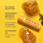 Burt's Bees%100 Doğal Balmumlu Dudak Balsamı, 0,15 oz