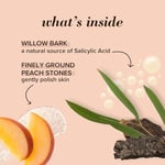 Burt's Bees%100 Doğal Derin Gözenek Temizleyici Peeling Şeftali & Willow Bark - Peach Willow Bark Deep Pore Scrub 110 G