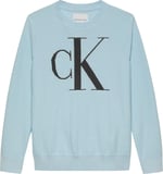 Calvin Klein Erkek Çocuk Nakışlı Kazak, 5003295614
