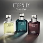 Calvin Klein Eternity Man EDT 100 ml