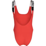 Calvin Klein SCOOP BACK ONE PIECE Mayo Kadın