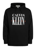 Calvin Klein SERIF FONT GRAPHIC HOODIE Sweatshirt Erkek
