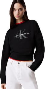 Calvin Klein Sweatshirt, LV047B234GUB1
