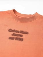Calvin Klein WASHED PUFF PRINT BABY TEE Tişört Kadın