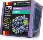 Can Kardeşler Kuruyemiş Yaban Mersini ( Blueberry ) 300 g
