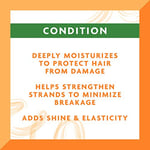 Cantu Argan Yağlı Durulanmayan Klima Onarım Kremi, 40 Ounce